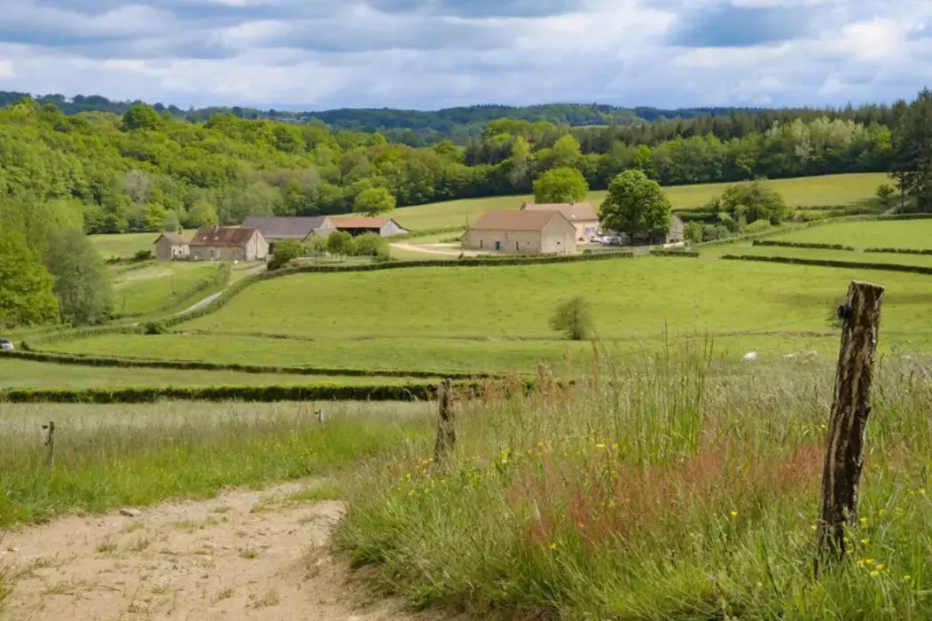 Gîtes du Miel
