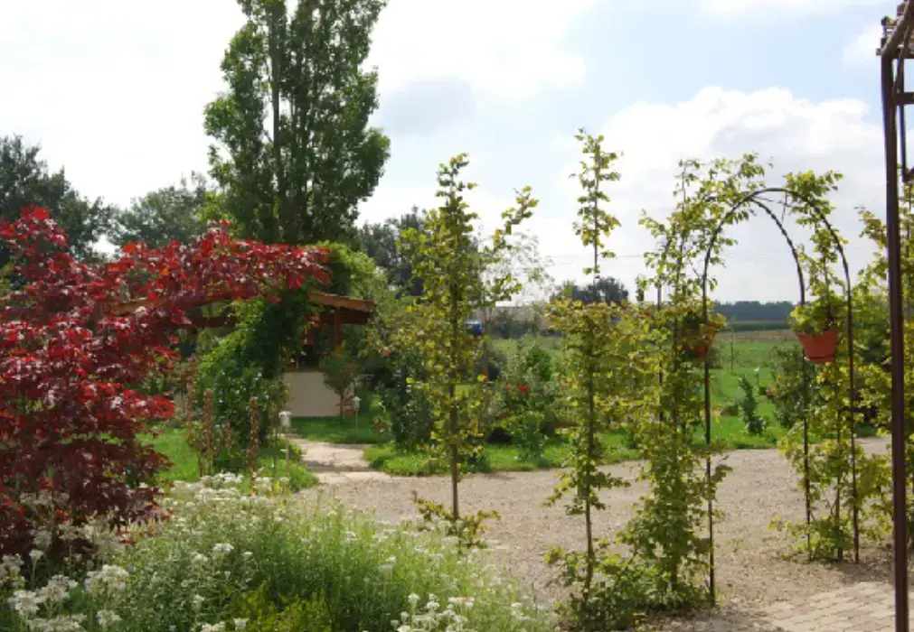 Domaine Alexander 6