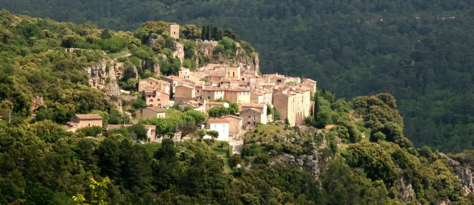 Domaine du Thronnet 6