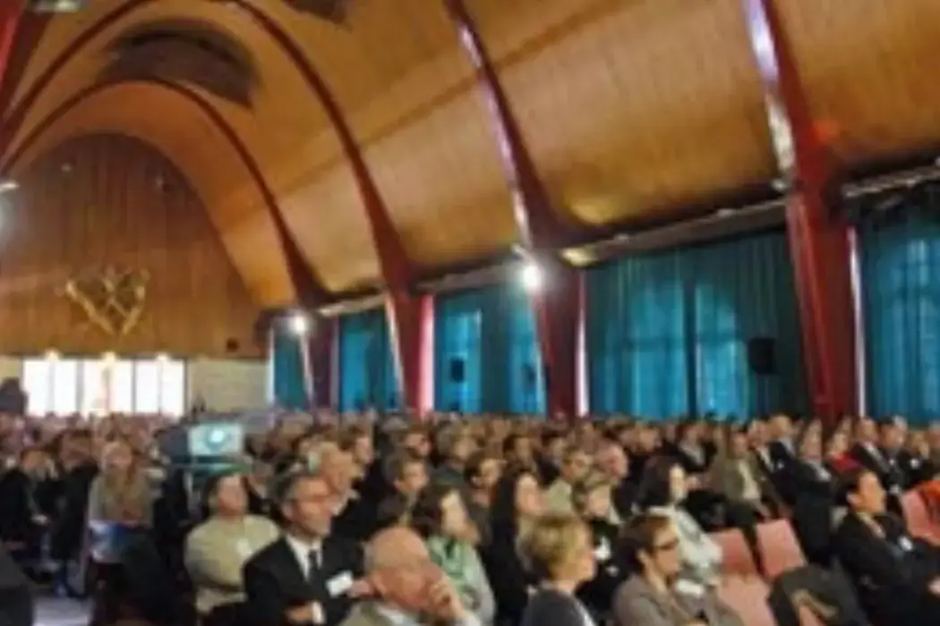 Halle aux Toiles 2