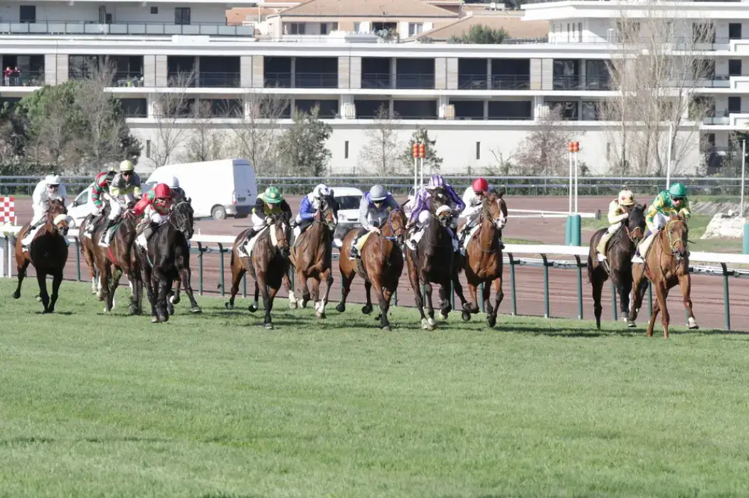 Hippodromes de Marseille 5