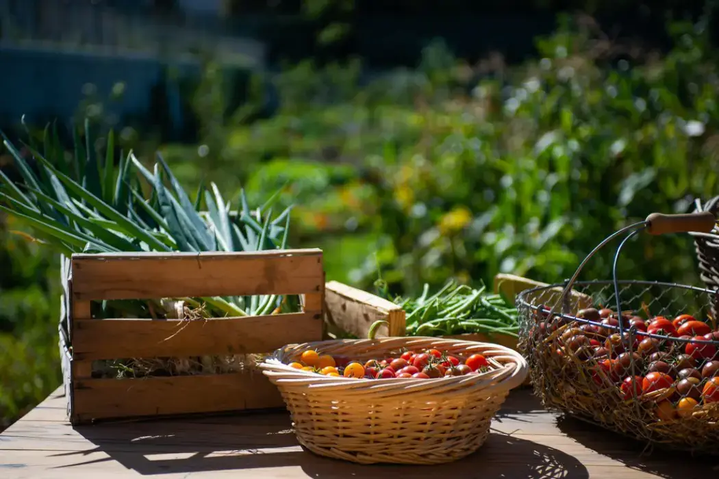 La Ferme Nature et Découvertes 6