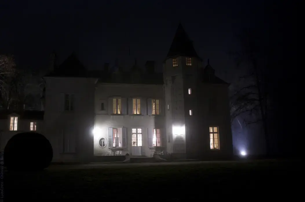 Château de Dangy 4