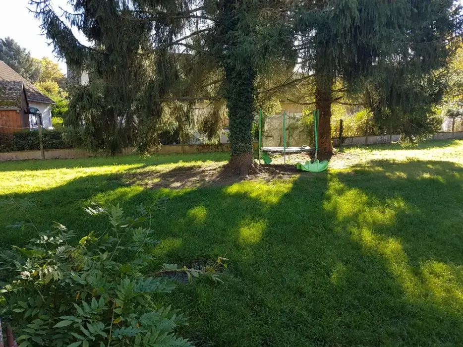 Gîte des Tilleuls 45