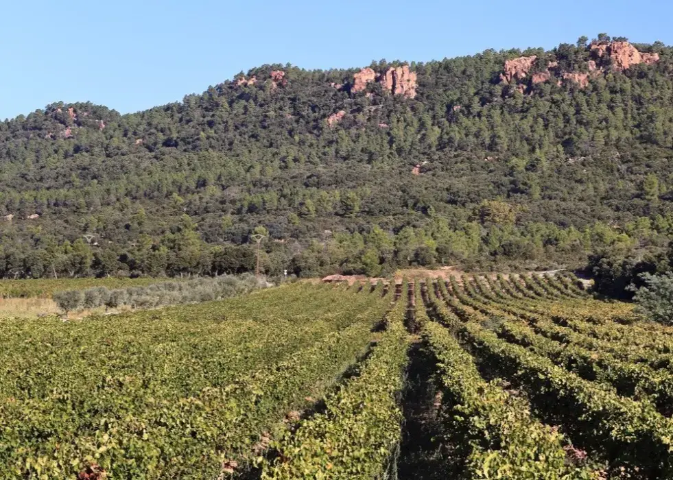 Domaine de la Bouverie 6