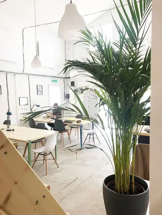 Le Løcal Coworking 5