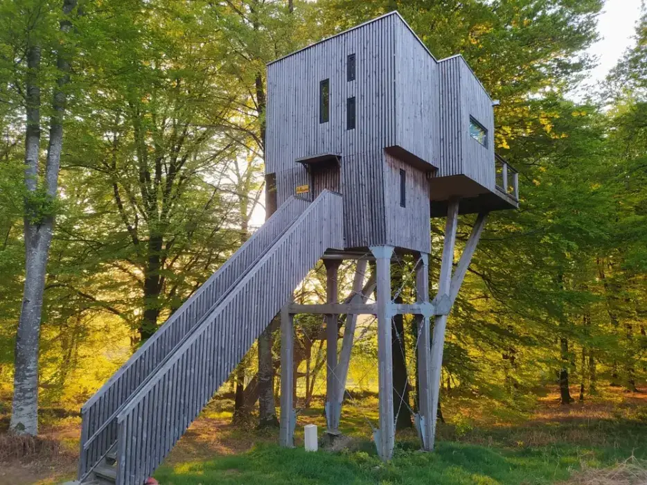 L'Etape en Forêt 2