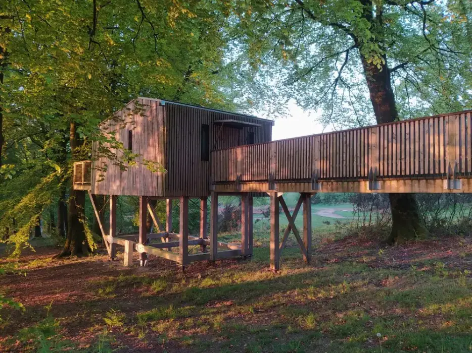 L'Etape en Forêt 12