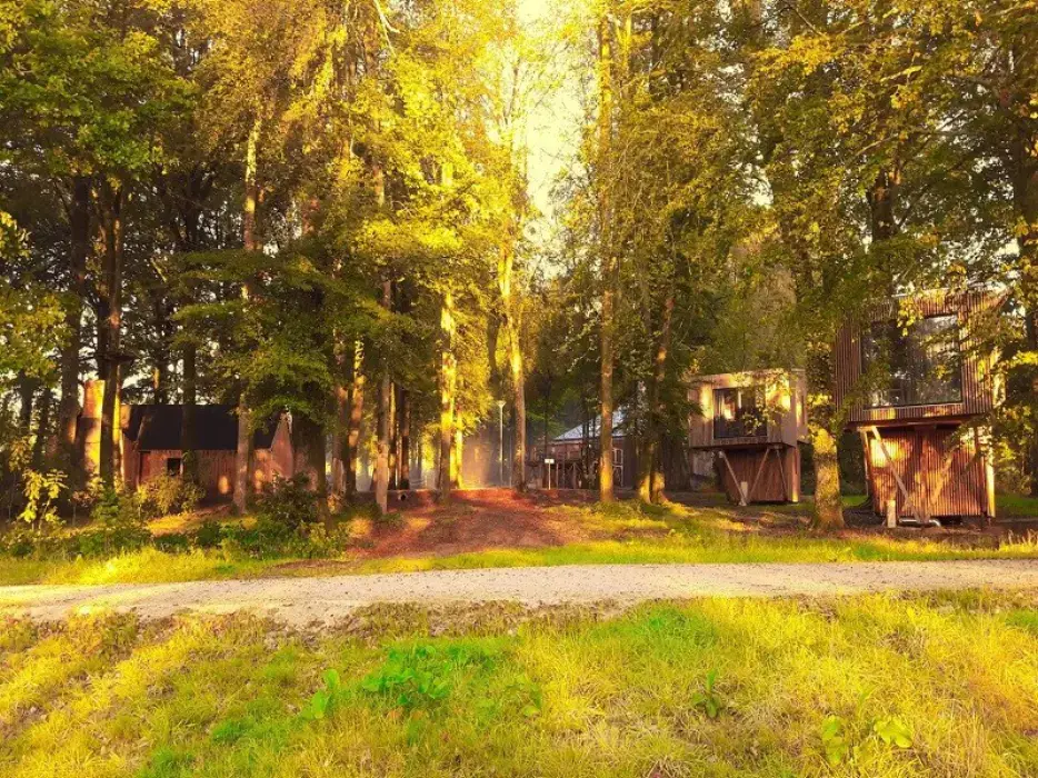 L'Etape en Forêt 15