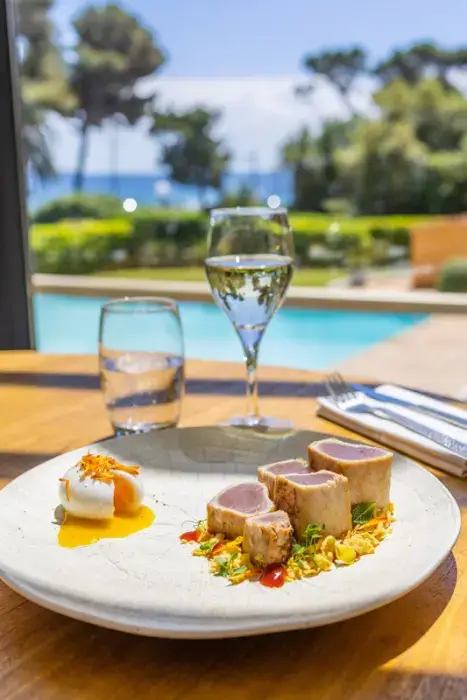 Luxotel Cannes 14