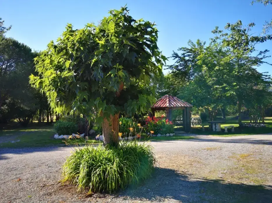 Domaine de Courrèges 3