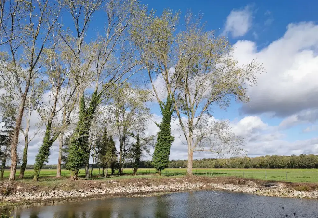 Domaine de la Ferme de Jean Grogne 7