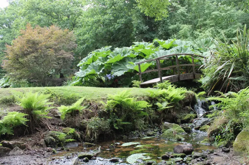 Moulin de Traon Lez 8