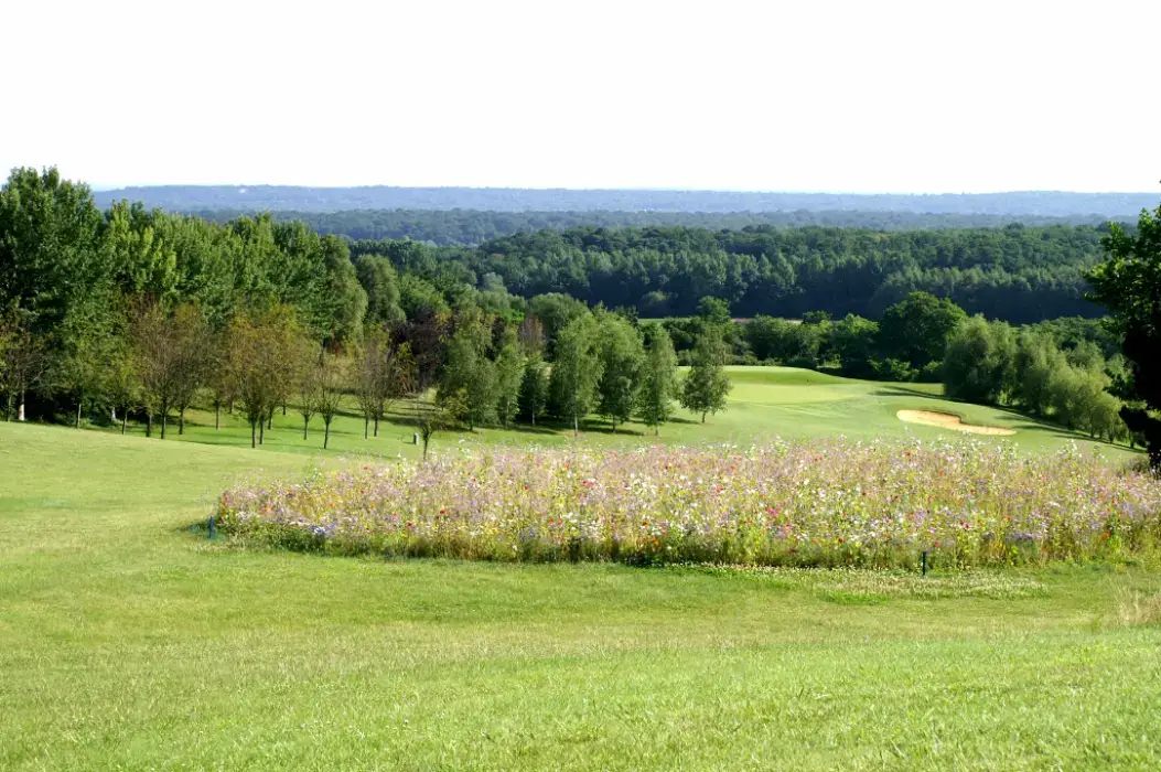 Golf Hotel de Mont Griffon 2