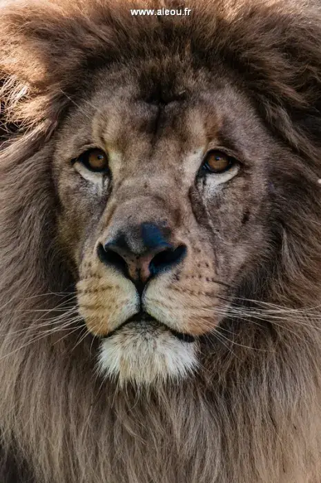 Touroparc Zoo 4