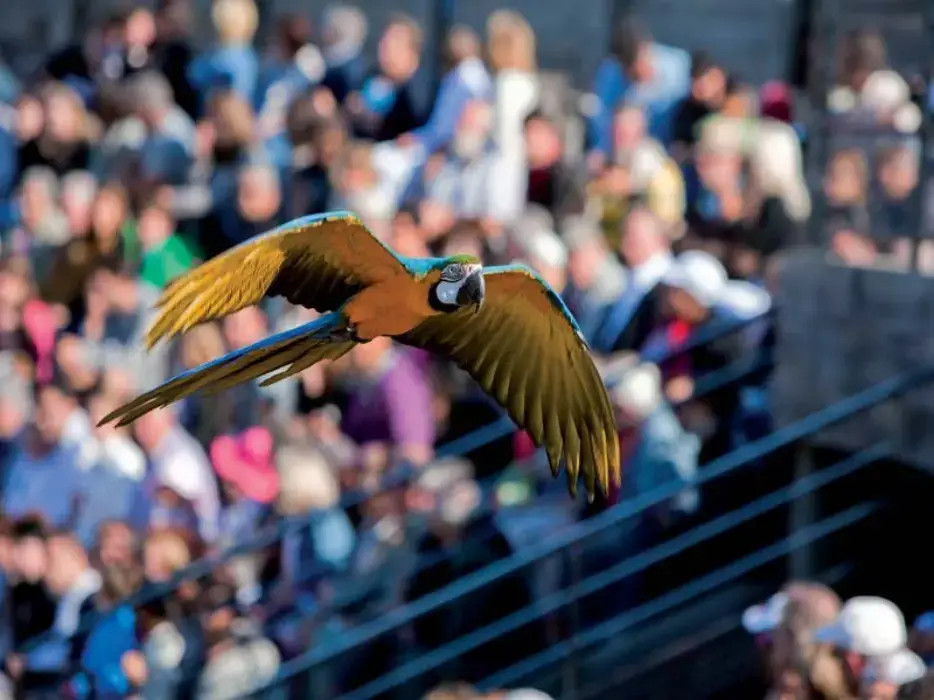 Parc des Oiseaux 2