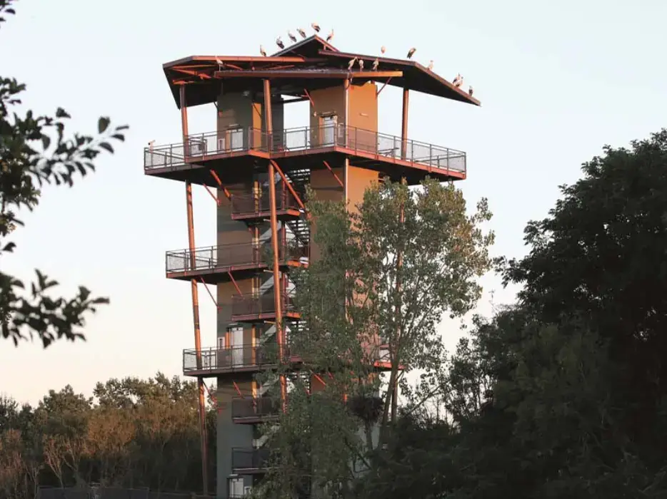 Parc des Oiseaux 3