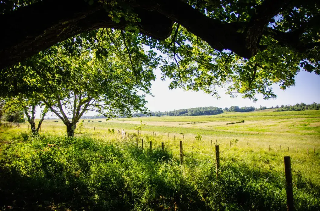 Domaine de Badine 6