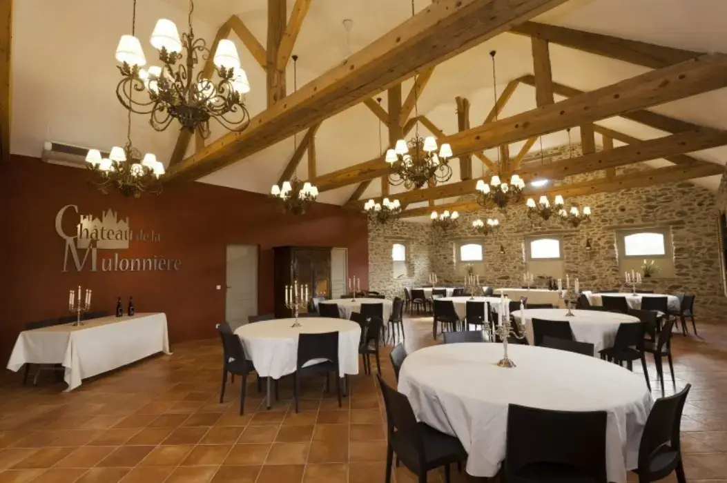Château de la Mulonnière 3