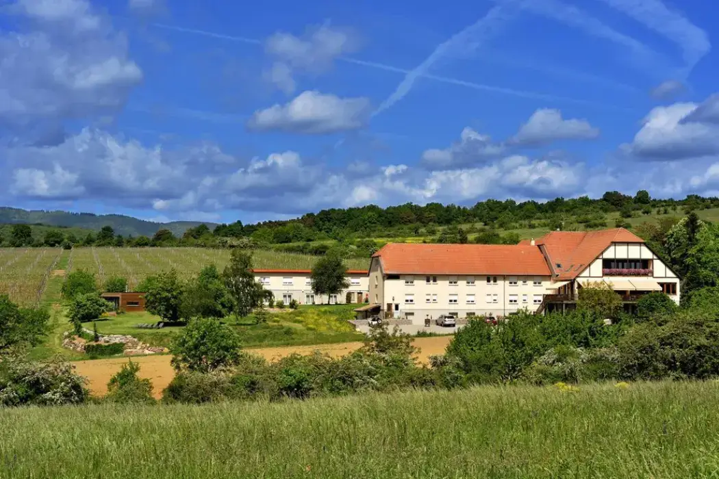 Hôtel du Bollenberg 8