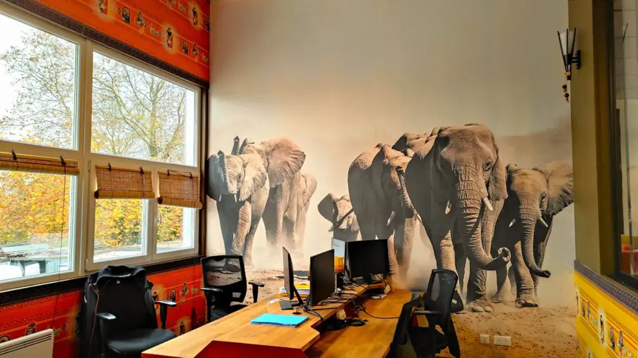 L'Entreprise Ouverte 11