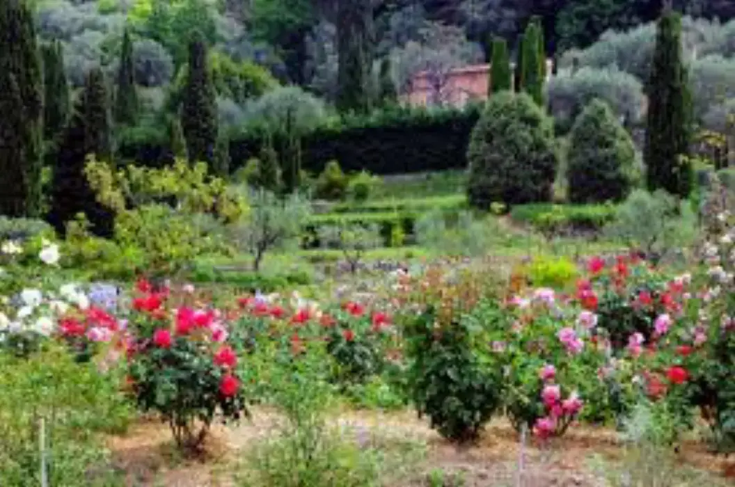 Jardins du Musée International de la Parfumerie 4