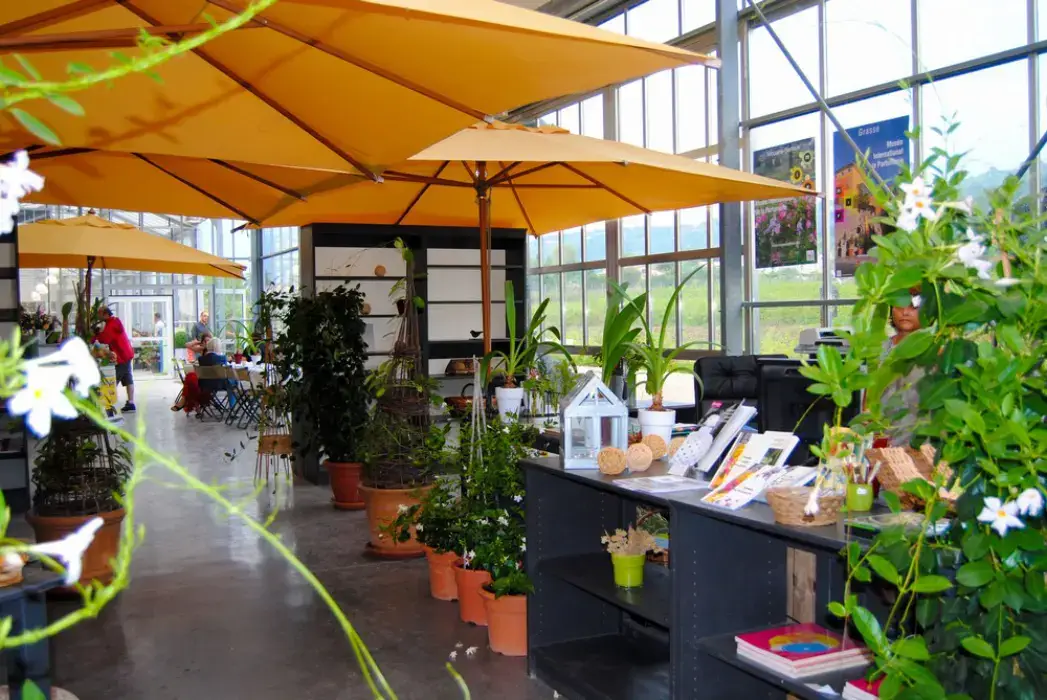 Jardins du Musée International de la Parfumerie 5
