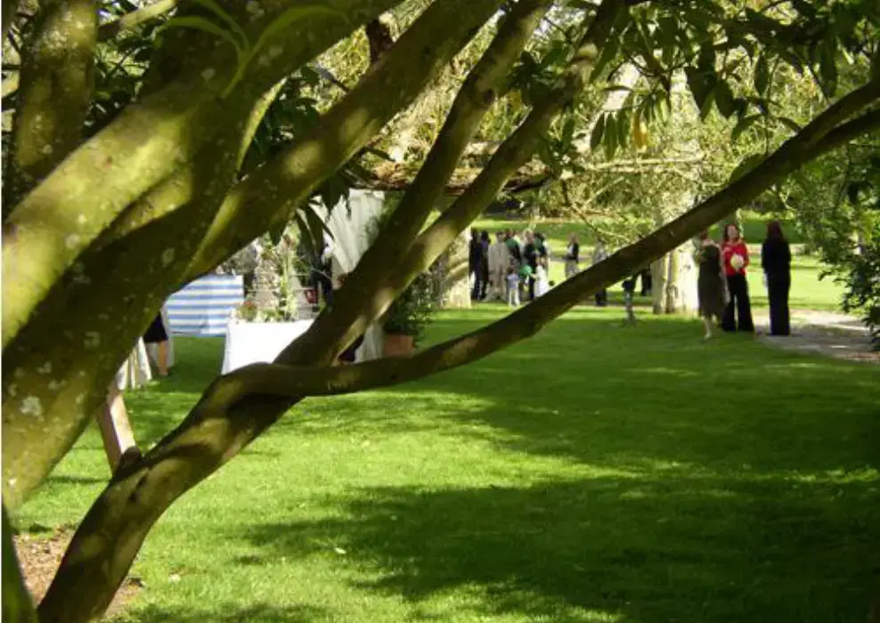 Le Manoir De La Queue Du Renard 3
