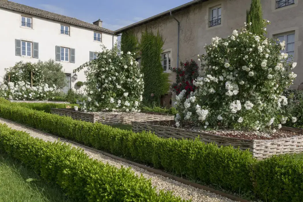 Domaine Morgon la Javernière 5