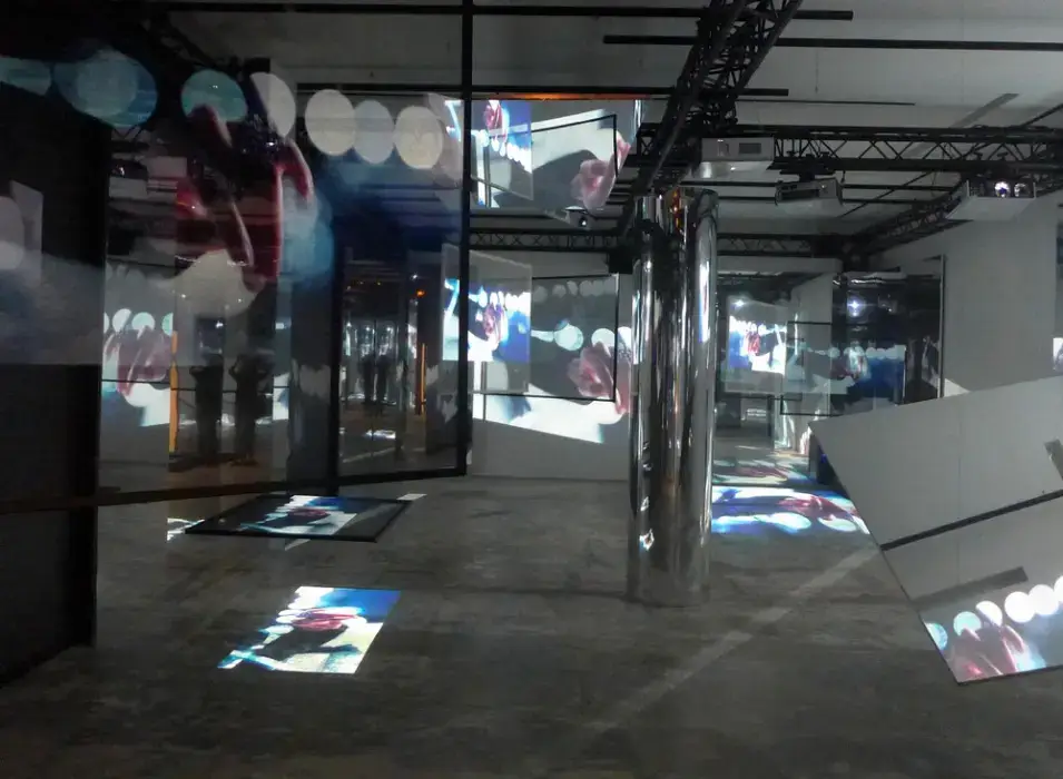 Studio des Acacias 5