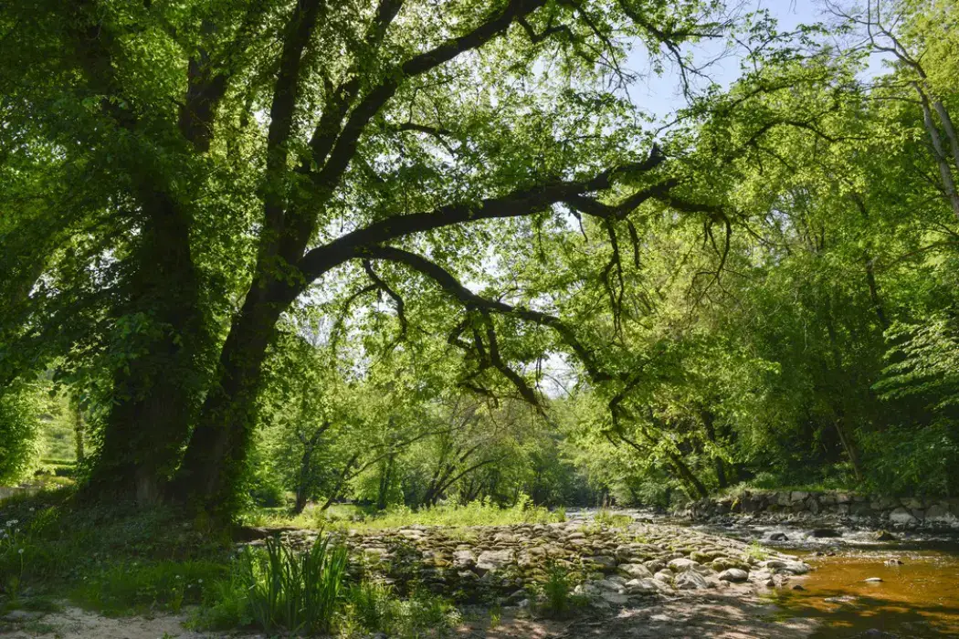 Moulin des Templiers 6