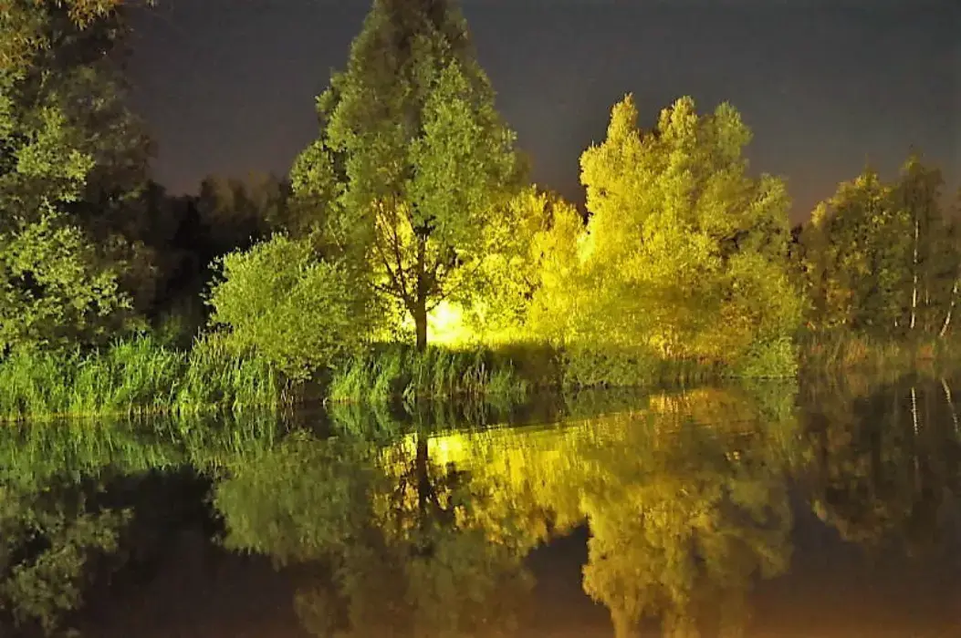 Restaurant Les Etangs de l'Abbaye 4