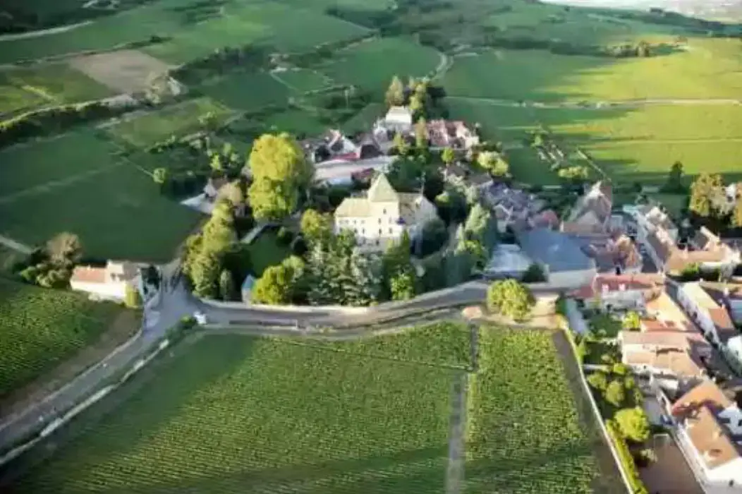 Domaine du Château Philippe le Hardi 2