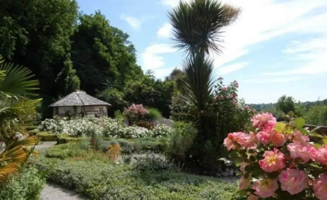 Château les Hauts 2