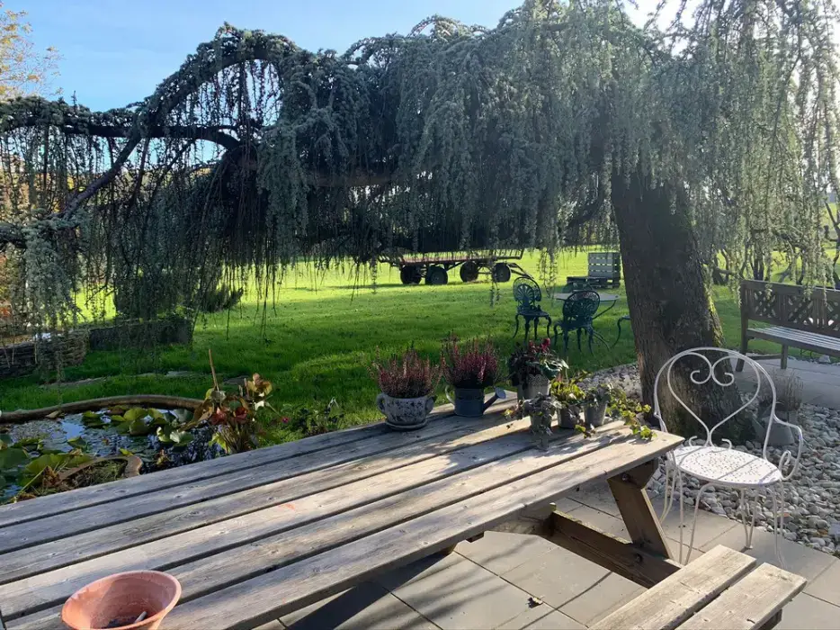 Maison Prairie Bonheur 7