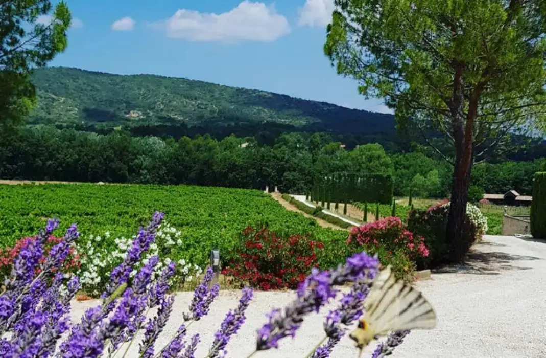 Domaine Tour Campanets 4