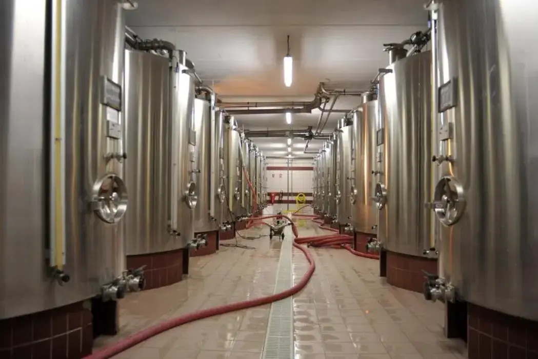 Champagne de l'Argentaine 7