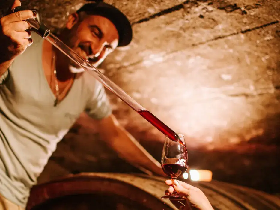 Château Grange Cochard 9