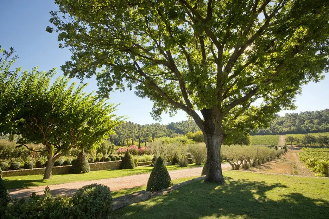Château Val Joanis 6