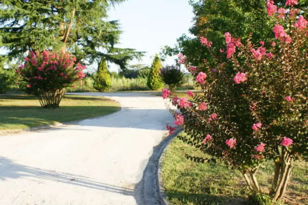 Domaine Pascaud 5