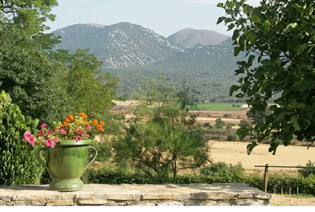 Domaine de Blancardy 11