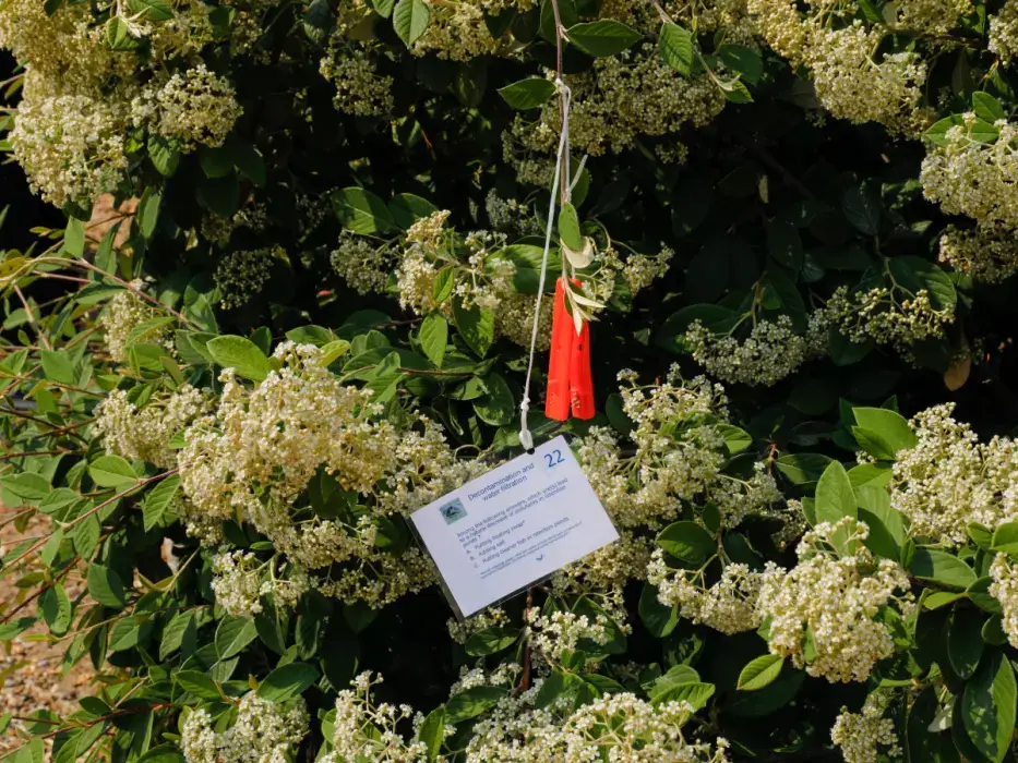 Grange de Bourgoult 9