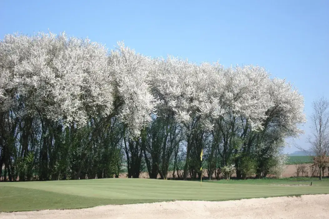 Golf Club du Grand Amiens 3