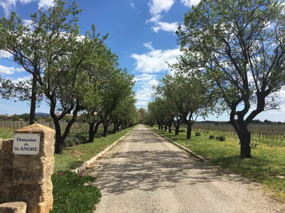 Domaine Saint André 2