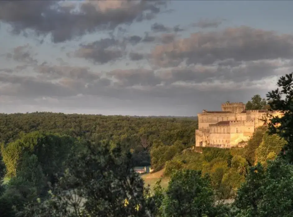 Chateau De La Tranchade 2