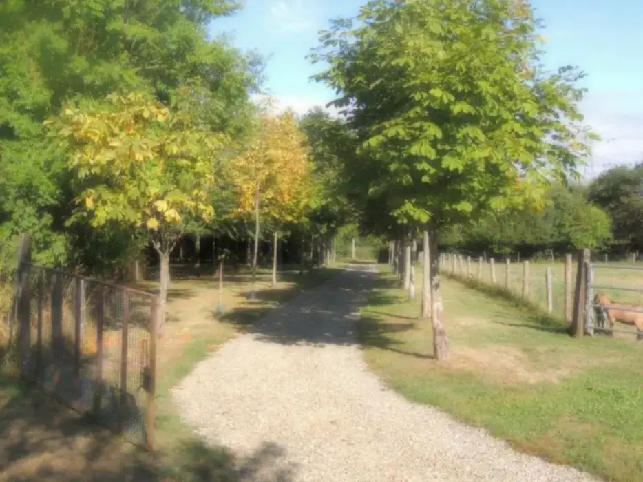 Domaine des Mille Oiseaux 11