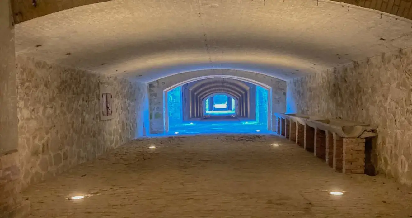Fort de Feyzin 2