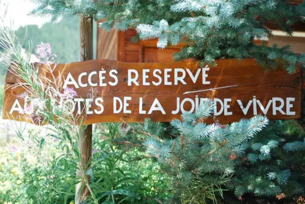 La Joie de Vivre 8