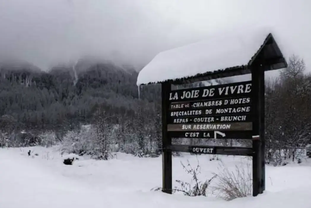 La Joie de Vivre 11