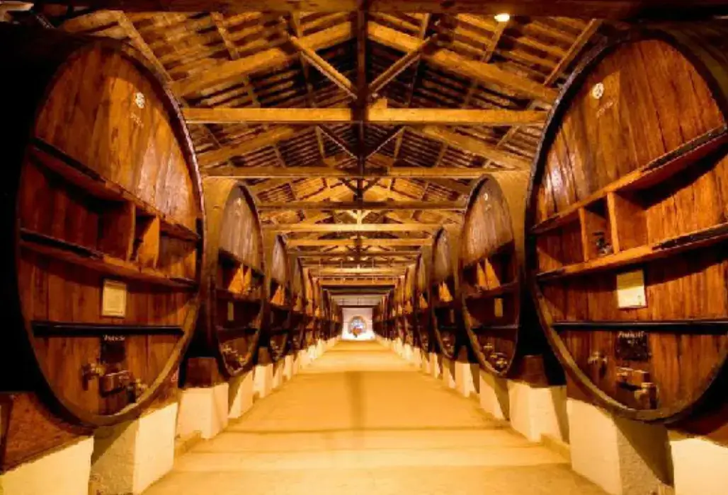 Domaine de jarras 2